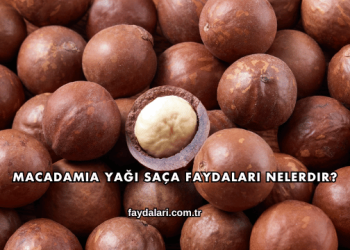 Macadamia Yağı Saça Faydaları Nelerdir?