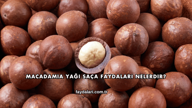 Macadamia Yağı Saça Faydaları Nelerdir?