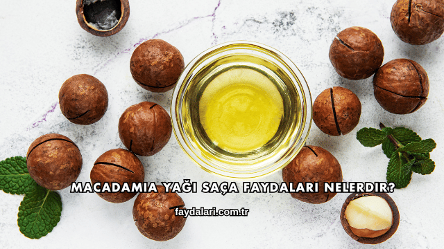 Macadamia Yağı Saça Faydaları Nelerdir?