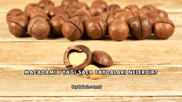 Macadamia Yağı Saça Faydaları Nelerdir?