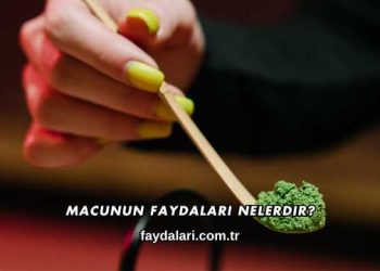 Macunun Faydaları Nelerdir?