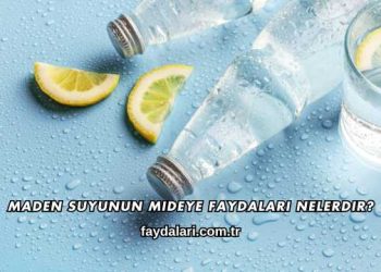 Maden Suyunun Mideye Faydaları Nelerdir?