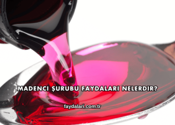 Madenci Şurubu Faydaları Nelerdir?