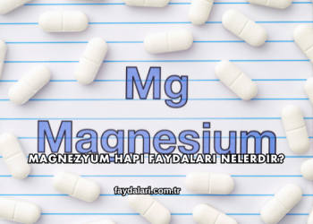 Magnezyum Hapı Faydaları Nelerdir?