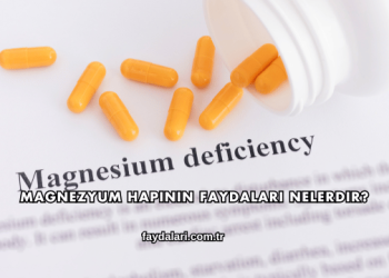 Magnezyum Hapının Faydaları Nelerdir?