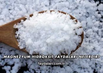 Magnezyum Hidroksit Faydaları Nelerdir?