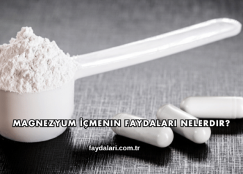 Magnezyum İçmenin Faydaları Nelerdir?