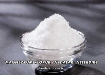 Magnezyum Klorür Faydaları Nelerdir?