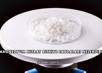 Magnezyum Nitrat Bitkiye Faydaları Nelerdir?
