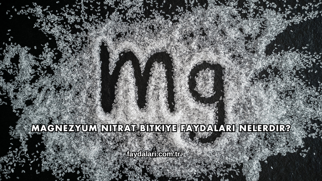 Magnezyum Nitrat Bitkiye Faydaları Nelerdir?