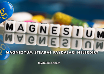 Magnezyum Stearat Faydaları Nelerdir?