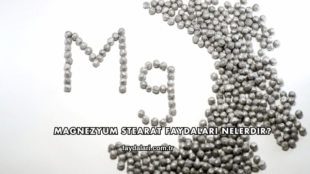 Magnezyum Stearat Faydaları Nelerdir?