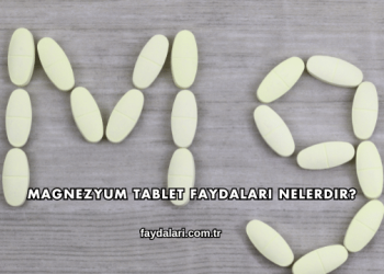 Magnezyum Tablet Faydaları Nelerdir?