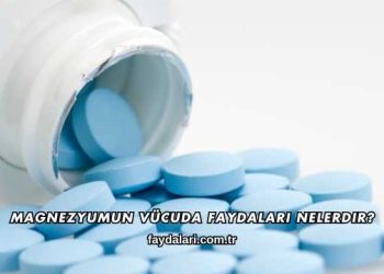 Magnezyumun Vücuda Faydaları Nelerdir?