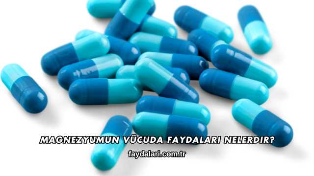 Magnezyumun Vücuda Faydaları Nelerdir?