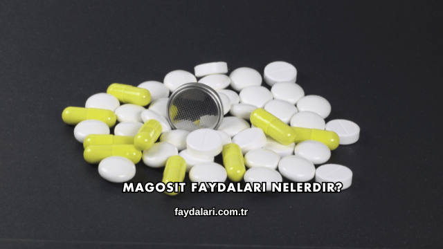 Magosit Faydaları Nelerdir?
