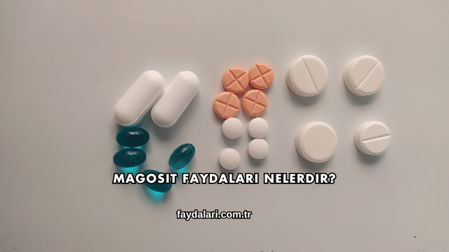 Magosit Faydaları Nelerdir?
