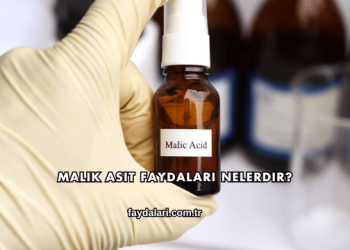 Malik Asit Faydaları Nelerdir?
