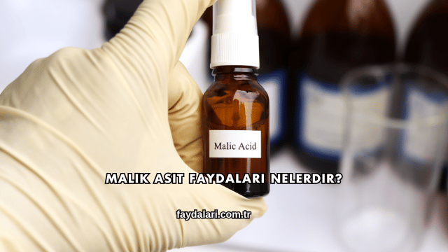 Malik Asit Faydaları Nelerdir?
