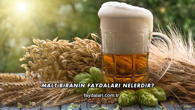 Malt Biranın Faydaları Nelerdir?