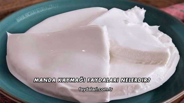 Manda Kaymağı Faydaları Nelerdir?