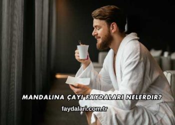 Mandalina Çayı Faydaları Nelerdir?