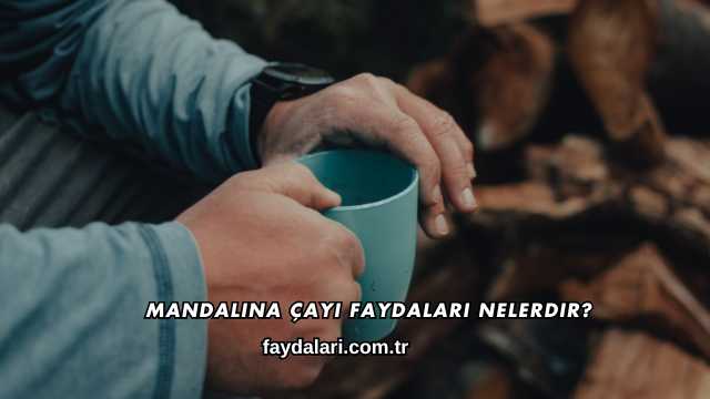 Mandalina Çayı Faydaları Nelerdir?