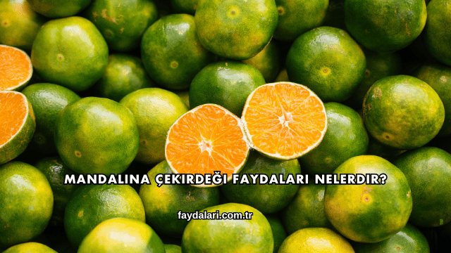 Mandalina Çekirdeği Faydaları Nelerdir?