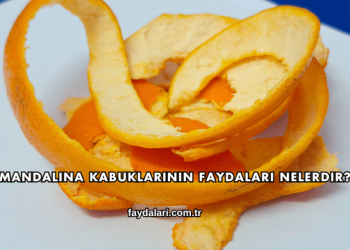 Mandalina Kabuklarının Faydaları Nelerdir?