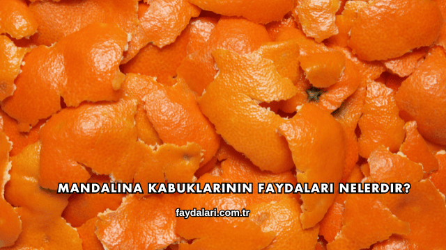 Mandalina Kabuklarının Faydaları Nelerdir?