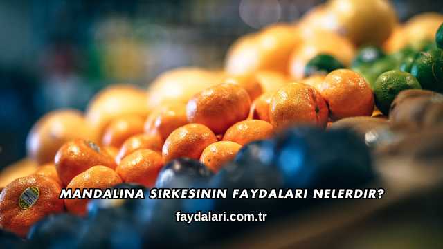 Mandalina Sirkesinin Faydaları Nelerdir?