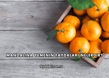 Mandalina Yemenin Faydaları Nelerdir?