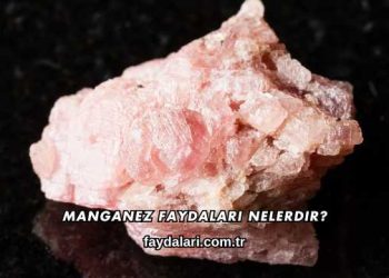 Manganez Faydaları Nelerdir?