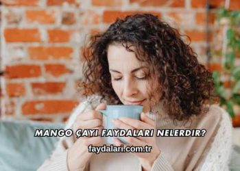 Mango Çayı Faydaları Nelerdir?