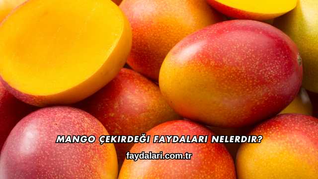 Mango Çekirdeği Faydaları Nelerdir?