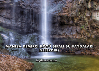 Manisa Demirci Köyü Şifalı Su Faydaları Nelerdir?