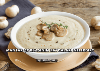 Mantar Çorbasının Faydaları Nelerdir?