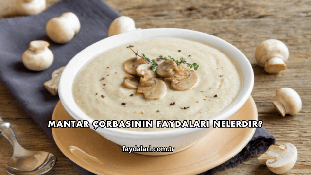 Mantar Çorbasının Faydaları Nelerdir?