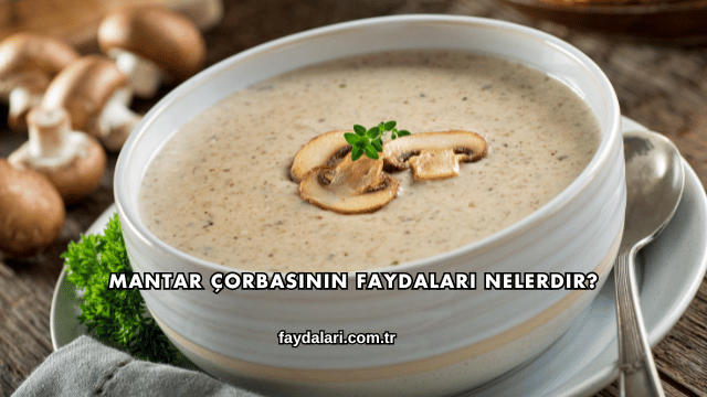 Mantar Çorbasının Faydaları Nelerdir?