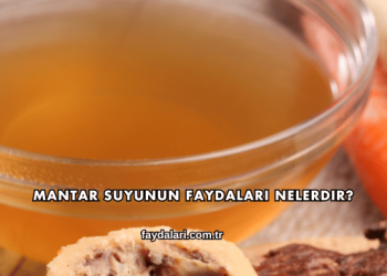 Mantar Suyunun Faydaları Nelerdir?