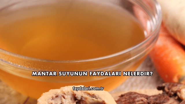 Mantar Suyunun Faydaları Nelerdir?