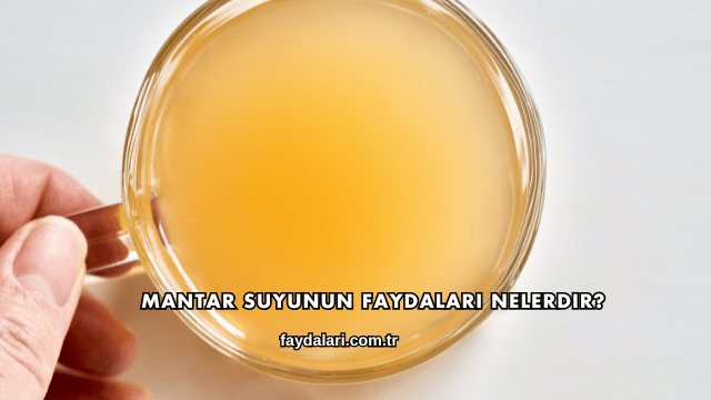 Mantar Suyunun Faydaları Nelerdir?