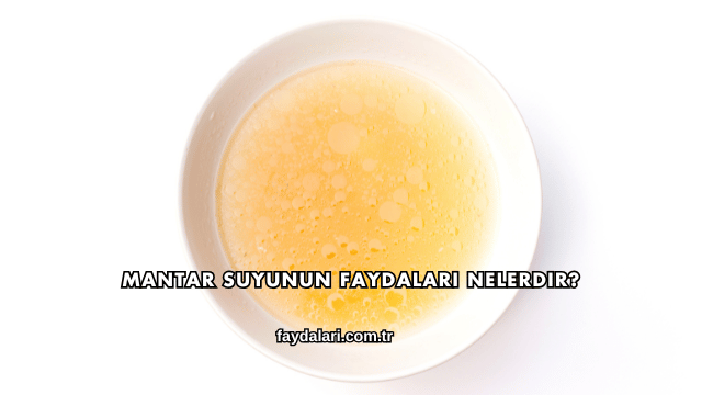Mantar Suyunun Faydaları Nelerdir?