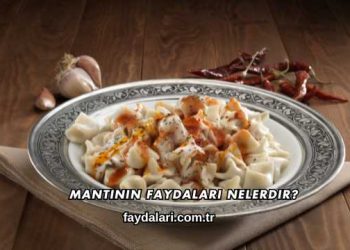 Mantının Faydaları Nelerdir?