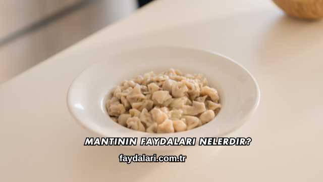 Mantının Faydaları Nelerdir?