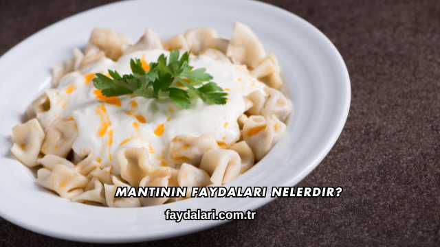 Mantının Faydaları Nelerdir?