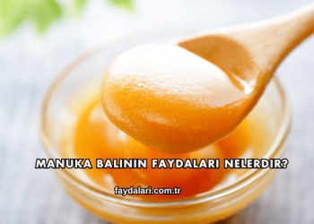 Manuka Balının Faydaları Nelerdir?