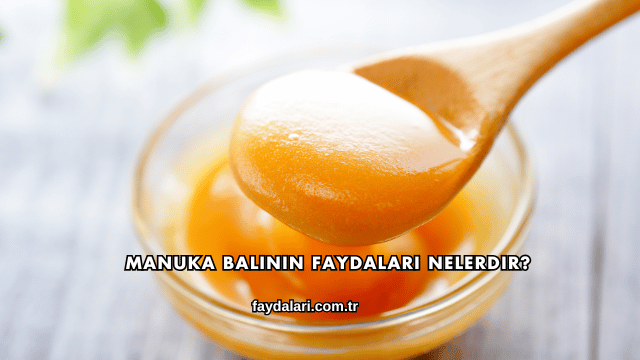Manuka Balının Faydaları Nelerdir?