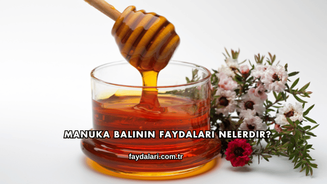 Manuka Balının Faydaları Nelerdir?