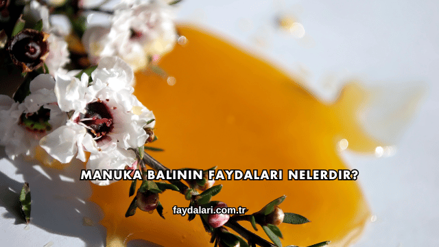Manuka Balının Faydaları Nelerdir?